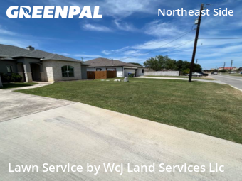 Yard Work in Selma, 78154, Weekly Mowing by Wcj Land Services Llc, work completed in Oct , 2025