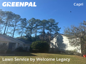 Backyard Mowing in Gainesville, 32605, Backyard Mowing by Welcome Legacy , work completed in Dec , 2025