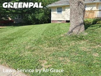 Lawn Mowing nearby Independence, MO, 