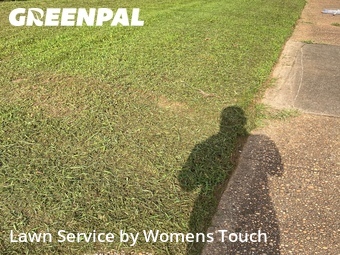 Lawn Cut nearby Tuscaloosa, AL, 