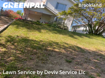 Grass Cut nearby Washington, MD, 