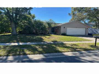 Lawn Carein Palm Harbor,34683,Yard Cutting by Jt Lawn Care, work completed in Dec , 2025