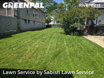 Yard Cutting nearby Milwaukee, WI, 