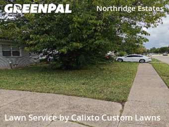 Grass Cuttingin Mesquite,75149,Lawn Care by Calixto Custom Lawns, work completed in Nov , 2025
