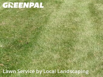 Lawn Service nearby Marion, OH, 