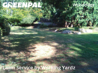 Lawn Maintenancein Bellevue,98005,Lawn Service by Working Yardz, work completed in Dec , 2025