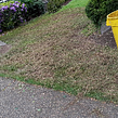 affordable-lawn-services-in-Clackamas-OR