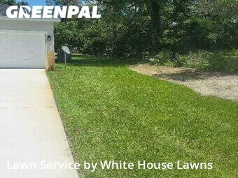 Grass Cut nearby Eustis, FL, 