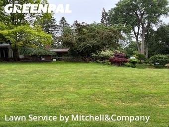 Lawn Cut nearby Bloomfield Township, MI, 