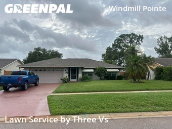 Yard Cuttingin Palm Harbor,34685,Yard Cutting by Three Vs , work completed in Jun , 2026