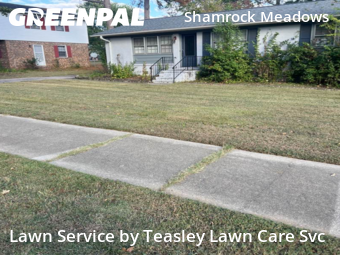 Lawn Cutting nearby Raleigh, NC, 