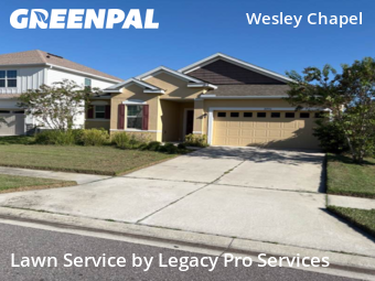 Grass Cut nearby Wesley Chapel, FL, 