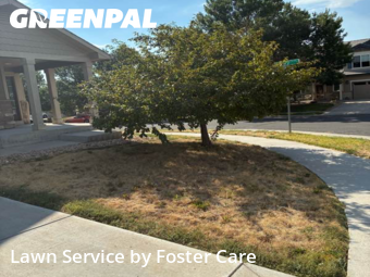 Lawn Maintenancein Commerce City,80022,Lawn Cutting by Foster Care , work completed in Feb , 2026