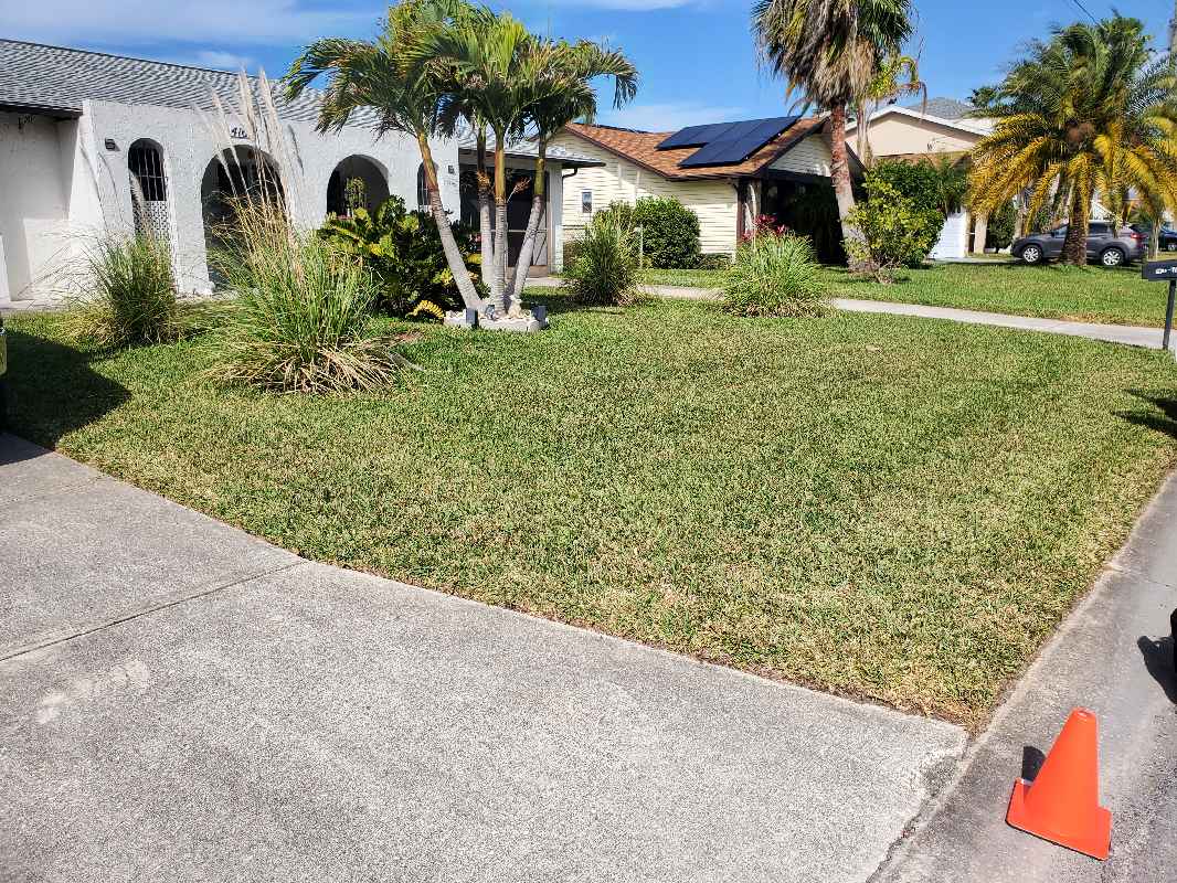 A+ Services Llc Lawn Care Services in Lutz, FL