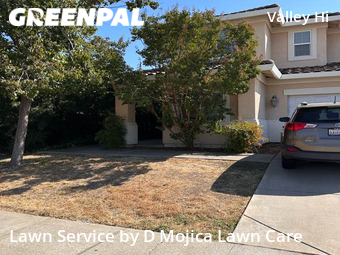 Grass Cut nearby Elk Grove, CA, 