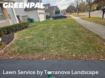 Yard Cutting in Romeoville, 60446, Backyard Mowing by Terranova Landscape, work completed in Nov , 2025