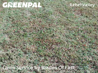 Lawn Cutting nearby Atlanta, GA, 