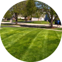 grass-cutting-businesses-in-Schaumburg-IL