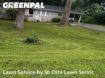 Grass Cut nearby Decatur, GA, 