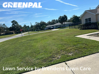 Yard Mowing nearby Spring Hill, FL, 