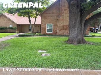 Lawn Care in Duncanville, 75137, Yard Upkeep by Top Lawn Carr, work completed in Oct , 2025