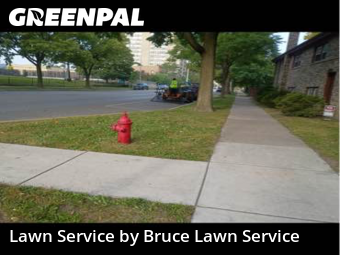 Yard Care Services in Oak Park, 60302, Yard Maintenance by Bruce Lawn Service, work completed in Nov , 2025