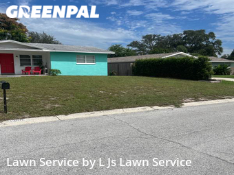 Lawn Mow nearby Clearwater, FL, 
