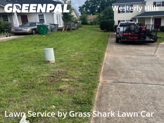 Yard Cutting nearby Charlotte, NC, 