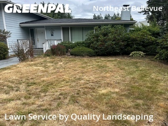 Modern Landscaping In Bellevue,98008,Landscaping Renovation by Quality Landscaping, work completed in Jul , 2026