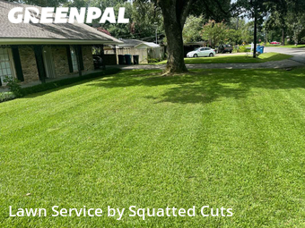 Lawn Service nearby Lafayette, LA, 
