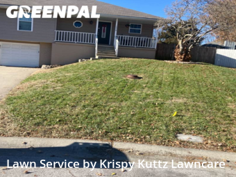 Grass Cut nearby Lee's Summit, MO, 