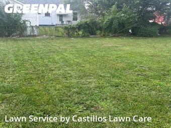 Lawn mowed in Peoria, 61604