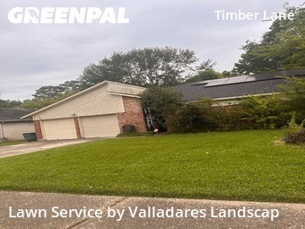 Grass Cutting nearby Spring, TX, 