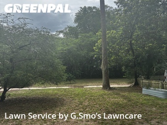 Yard Mowing nearby Gainesville, FL, 
