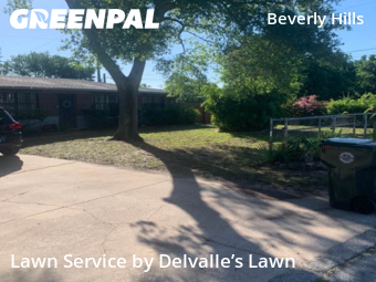 Yard Mowing nearby Daytona Beach, FL, 