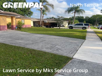 Yard Maintenance in Lake Magdalene, 33618, Lawn Mowing by Mks Service Group, work completed in Dec , 2025
