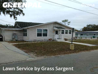 Lawn Mowingin Palm Harbor,34683,Lawn Mowing Service by Grass Sargent, work completed in Jan , 2026