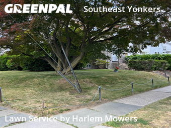 Modern Landscaping In Yonkers,10704,Landscaping Installation by Harlem Mowers, work completed in Oct , 2025