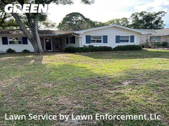 Lawn Mow nearby Clearwater, FL, 
