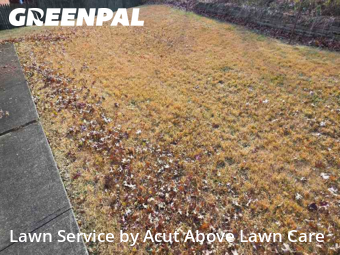 Grass Cutting in Pittsburgh, 15221, Grass Cutting by Acut Above Lawn Care, work completed in Nov , 2025