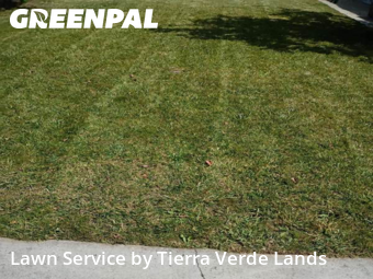 Work completed by professional-lawn-care-service-in-Inglewood-CA