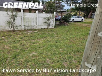 Lawn Cut nearby Tampa, FL, 