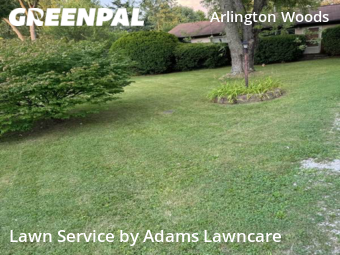 Yard Cutting nearby Indianapolis, IN, 