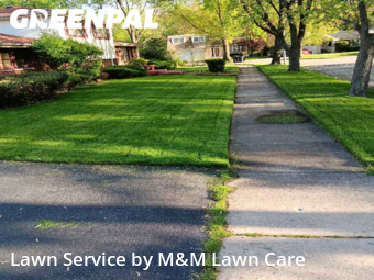 Property Maintenance in South Holland, 60473, Lawn Mowing by M&M Lawn Care, work completed in Nov , 2025