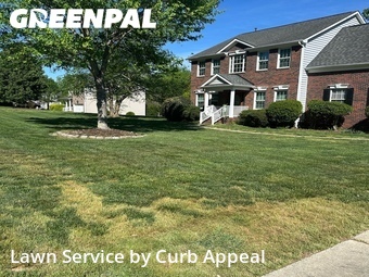 Yard Cutting nearby Mint Hill, NC, 