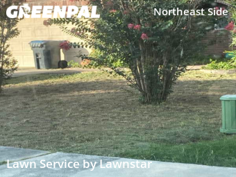 Lawn Cutting nearby Schertz, TX, 