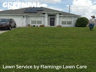 Grass Cutting nearby Cape Coral, FL, 