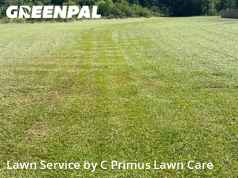 Lawn Service nearby Livingston, LA, 
