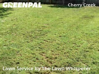 Grass Cut nearby Elverta, CA, 