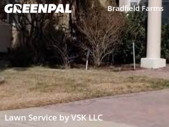 Grass Cut nearby Clermont, FL, 